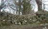 Stone wall gapped_thumb.jpg 2.7K